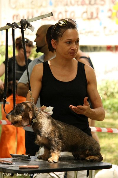 2012-07-01 B & B - Bedlington & Bichon Fun Day (42)_1000x1500.jpg